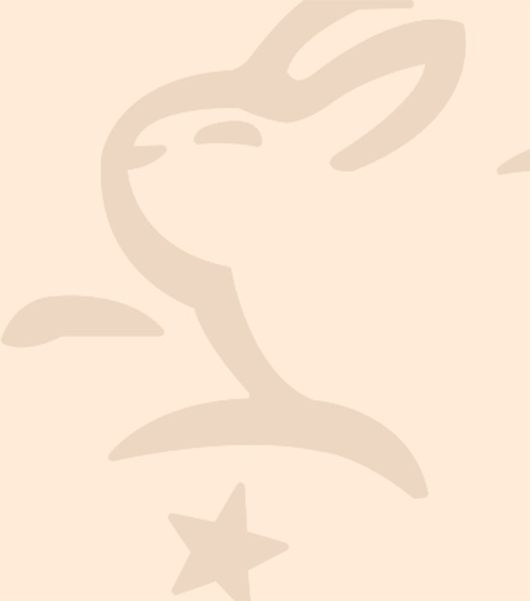 The Certified Leaping Bunny Logo on a pink background