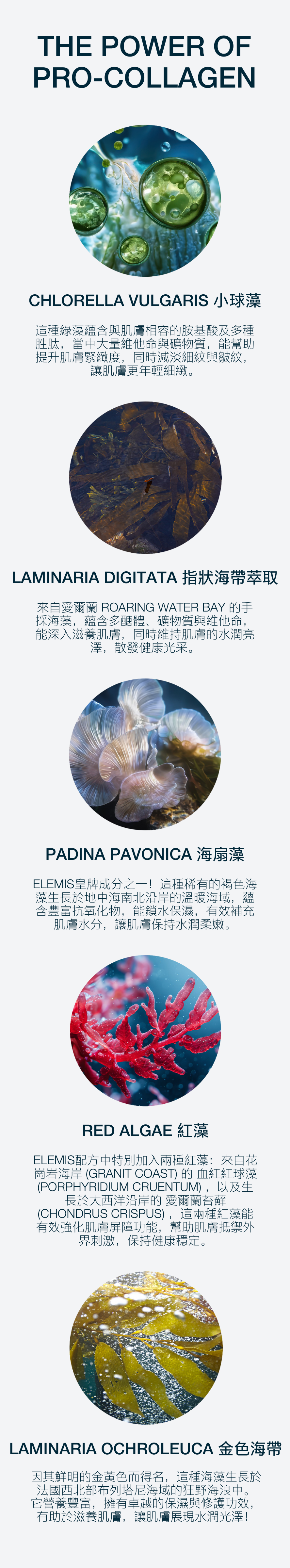 終極抗皺配方