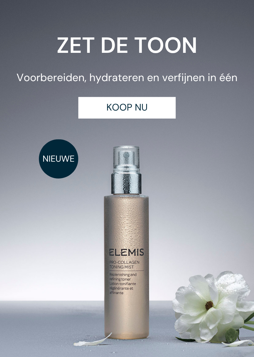 ZET DE TOON