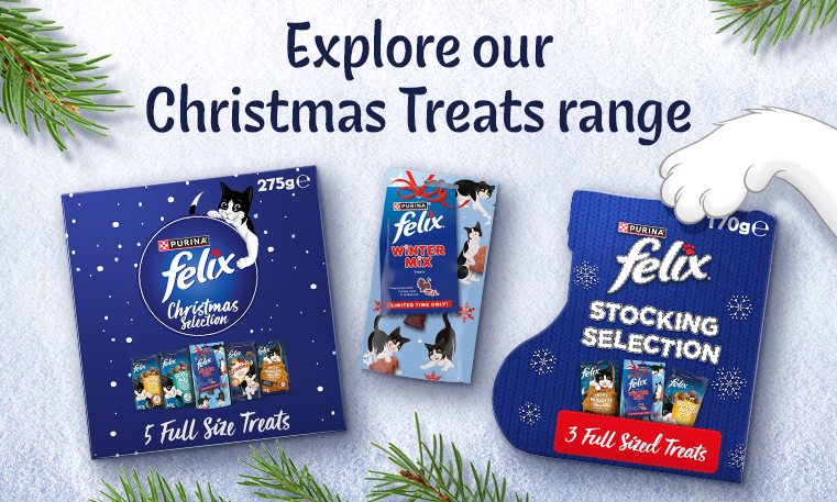Explore our Christmas Treats range 