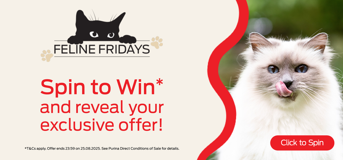 Spin to win and reveal your exclusive offer!