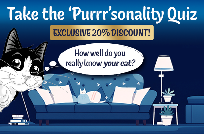 Take The Felix 'Purrr'sonality Quiz