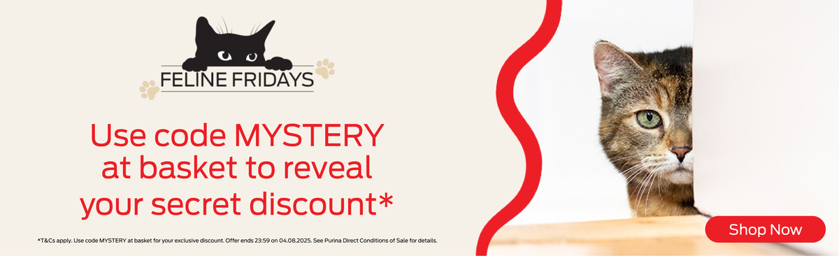 Use code MYSTERY at basket to reveal your secret discount