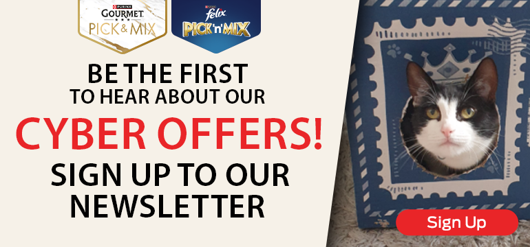 be the first to hear about our cyber offers! Sign up to our newsletter