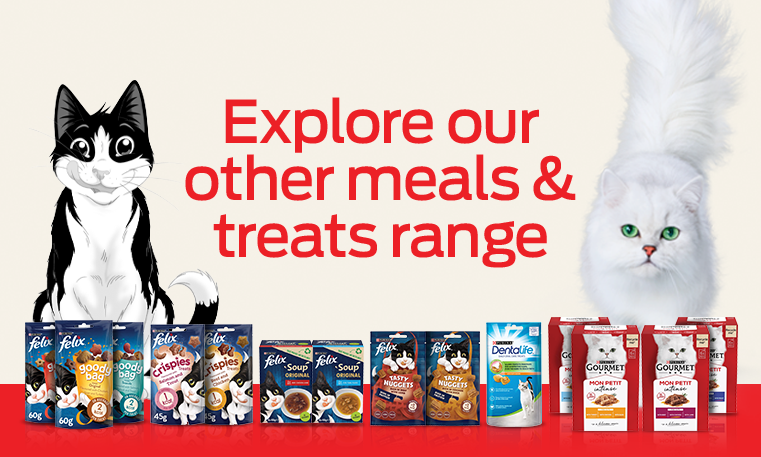 Other Meals and Treats