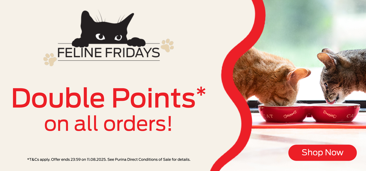 Double points on all orders!