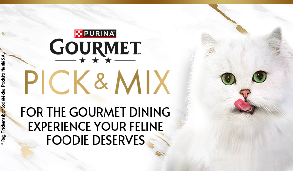Gourmet Pick & Mix - For the Gourmet dining experience your feline foodie deserves