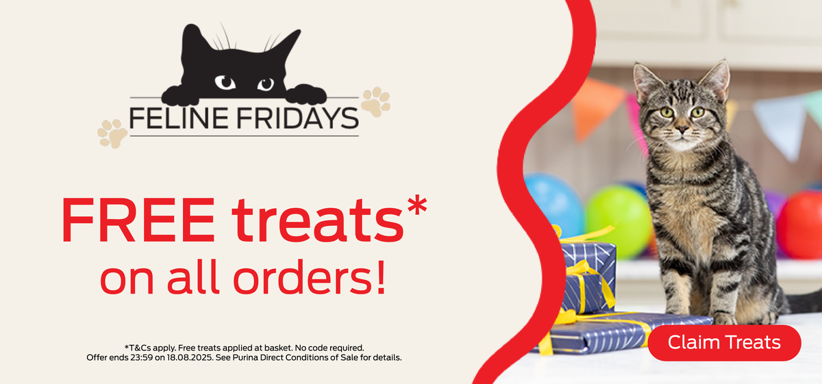Free treats on all orders!