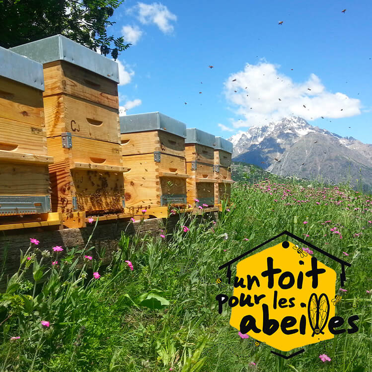 UN TOIT POUR LES ABEILLES