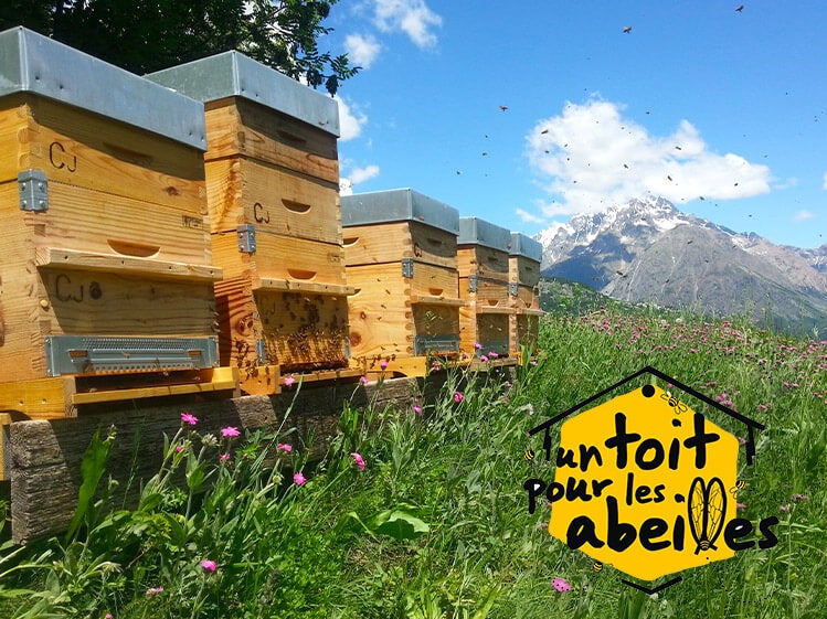 un toit pour les abeilles