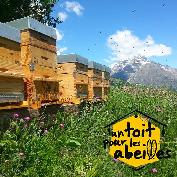 NUXE s'engage avec un toit pour les abeilles