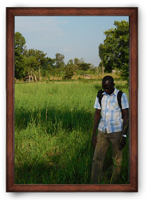 Organic palmarosa ORIGIN: UGANDA