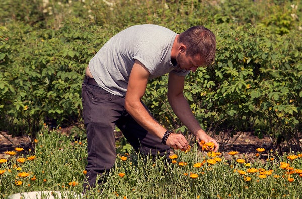 Why choose organic?