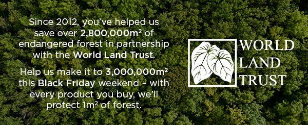 Help us protect endangered forests this Black Friday