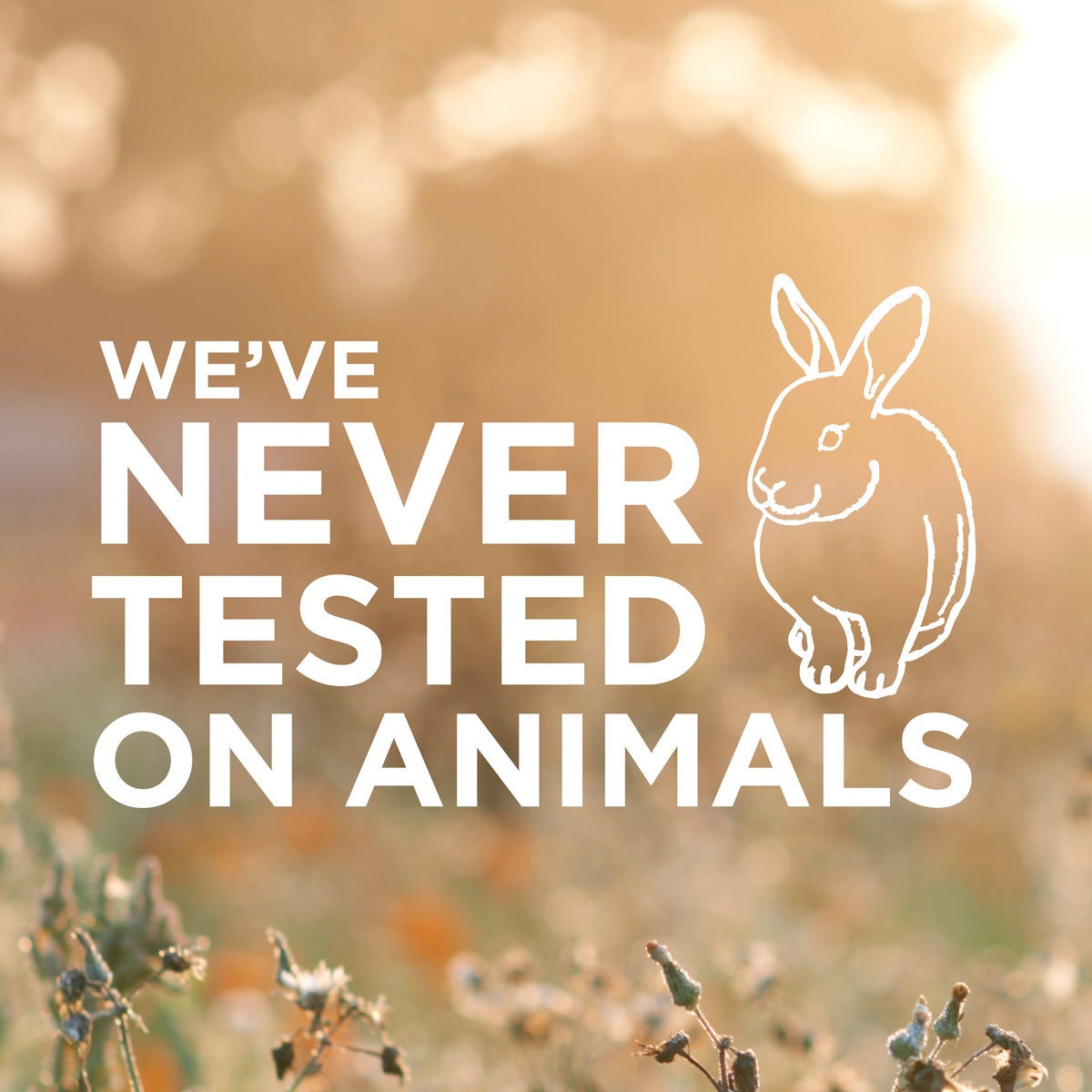 We have never tested on animals