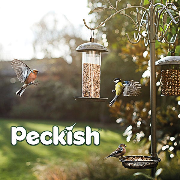 peckish bird food wholesale