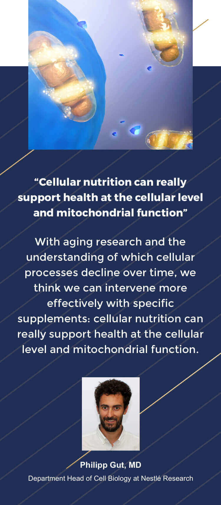 Expert opinion on Cellular Nutrition 