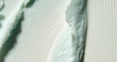 Collection Banners - TRAVEL MINIS
