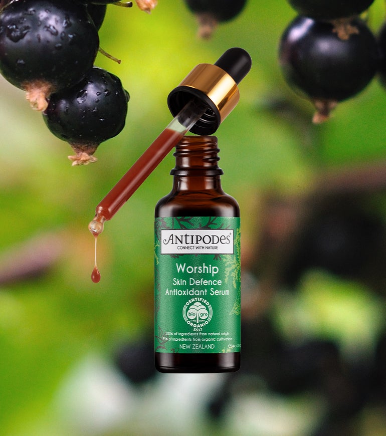 Natural & Organic Skincare - Worship Serum when you spend over £65