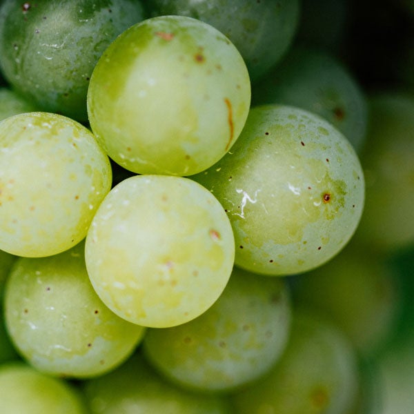 Elements of Beauty: Our Clean Ingredients