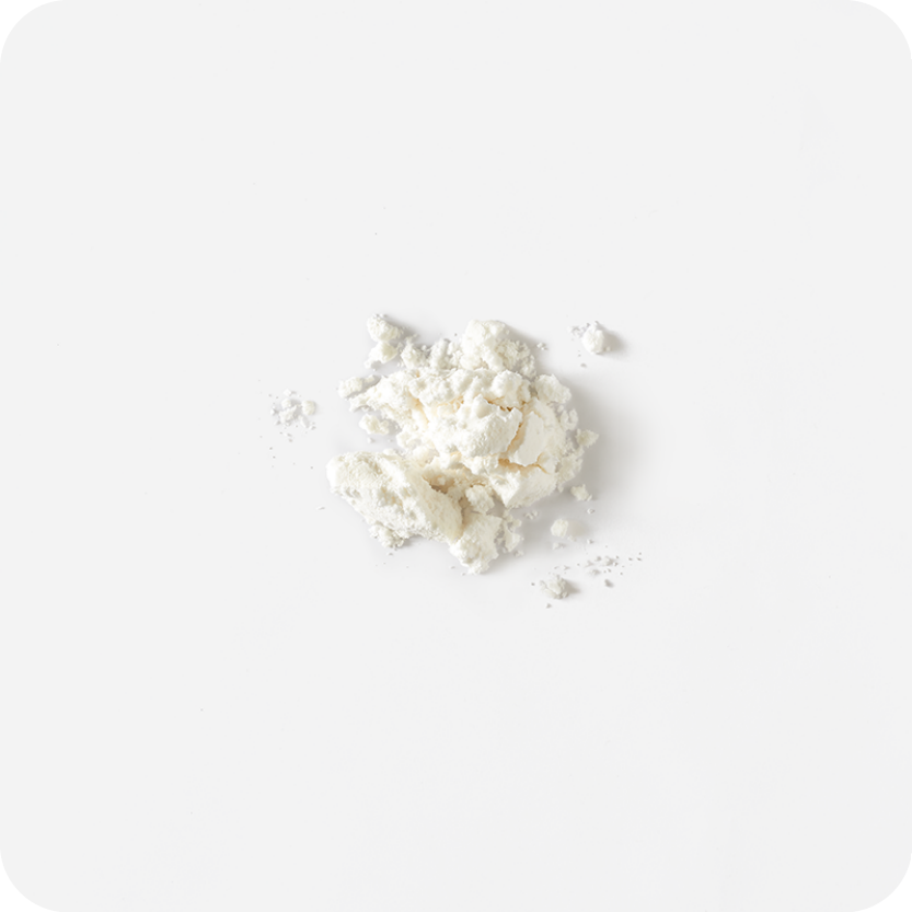 Coconut Milk Powder