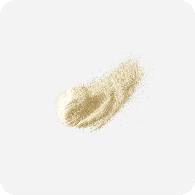A scoop of collagen powder.