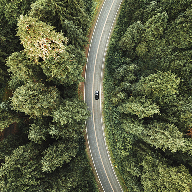 Car driving on road in forest