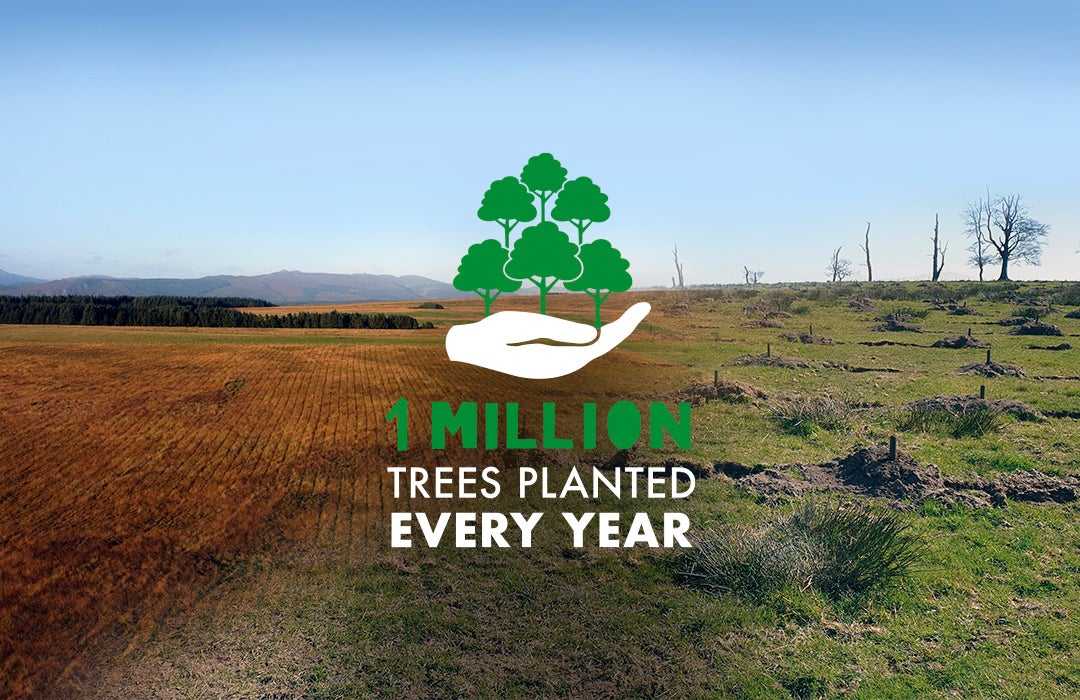 Plant one million trees every year. Read the story and watch the film.