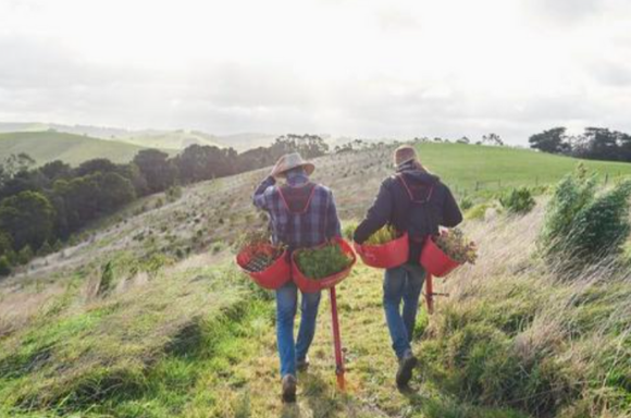 Two farmers with plants in red buckets in a field.