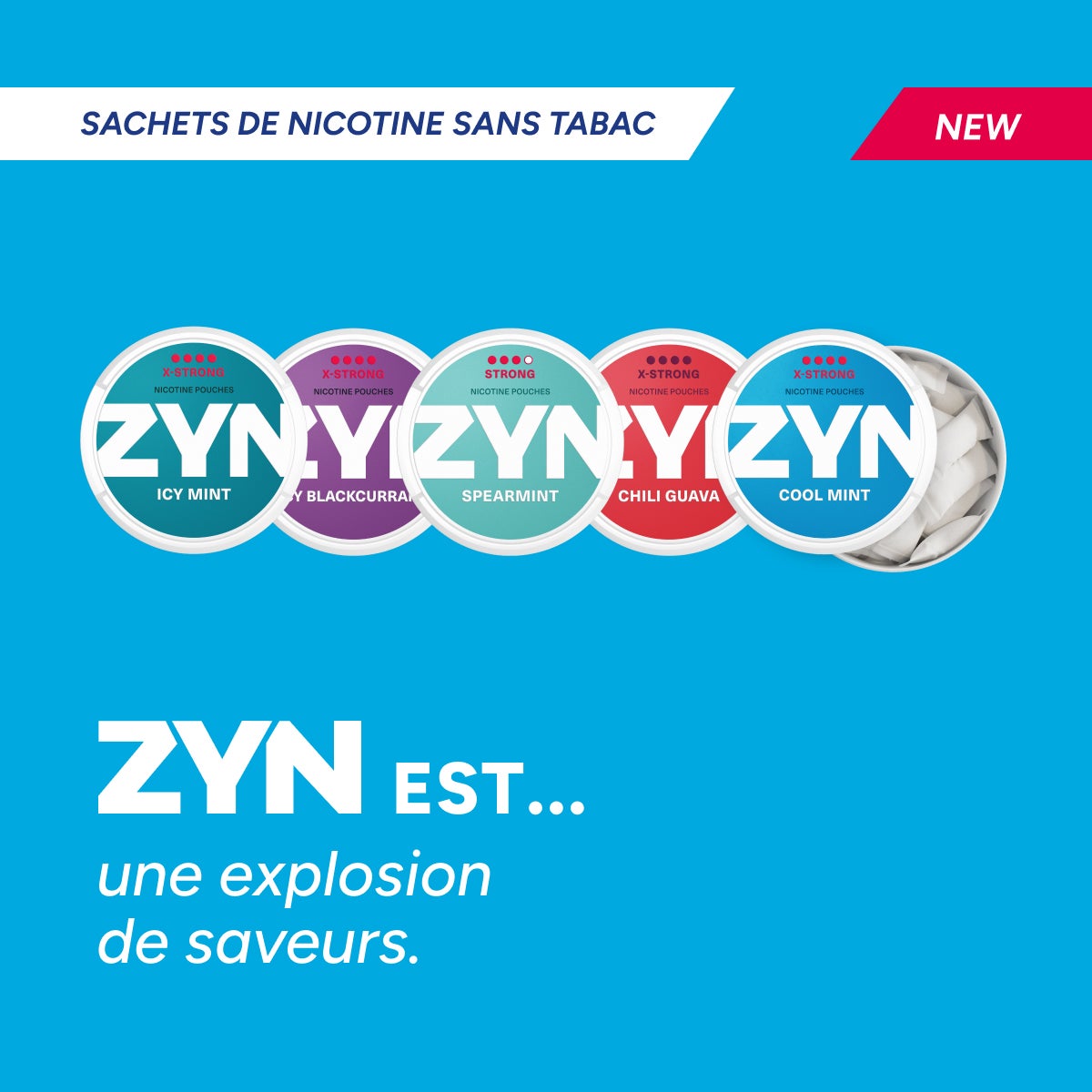Quatre boîtes de sachets de nicotine ZYN: ZYN Icy Blackcurrant, ZYN Spearmint, ZYN Chili Guava et ZYN Cool Mint