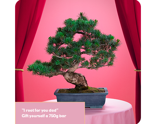 Bonsai Tree on a pink table with a pink background with a red curtains. Text overlay reading '