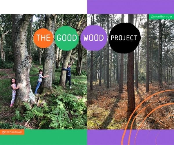 The good wood project