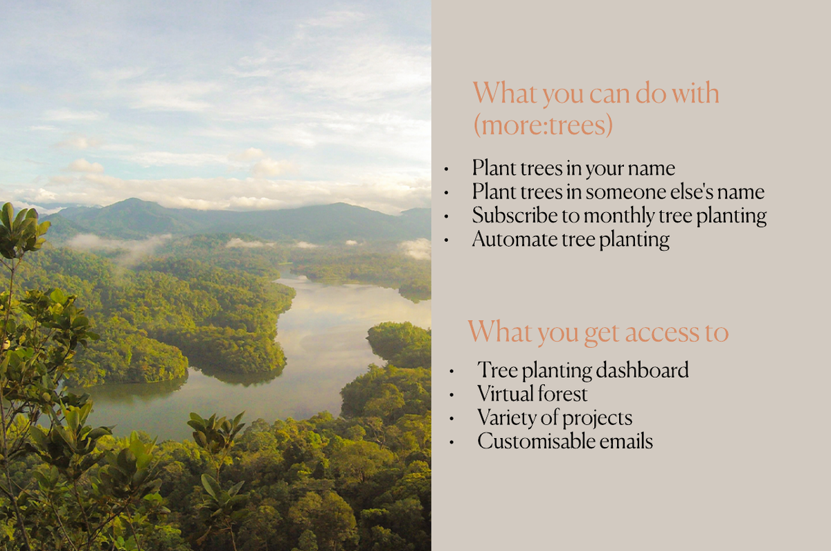 What can you do with more:trees?