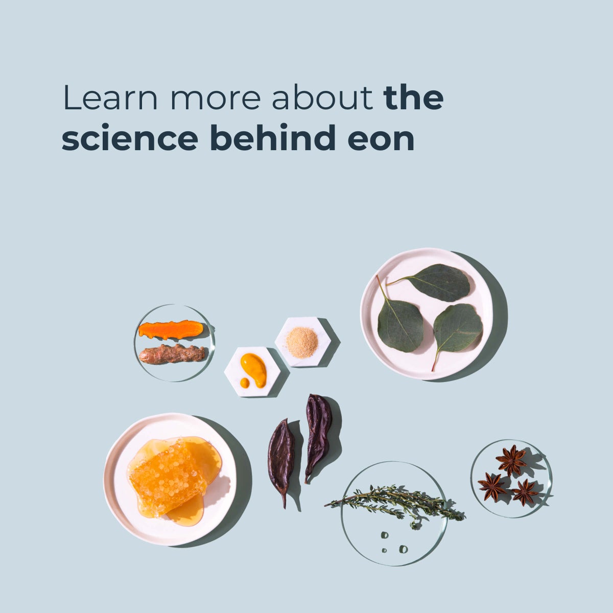 Welcome to eon, the world of longevity. Shop our products.