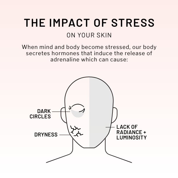 the impact of stress on your skin. When mind and body become stressed, our body secretes hormones that induce the release of adrenaline which can cause: dark circles, dryness, lack of radiance and luminosity
