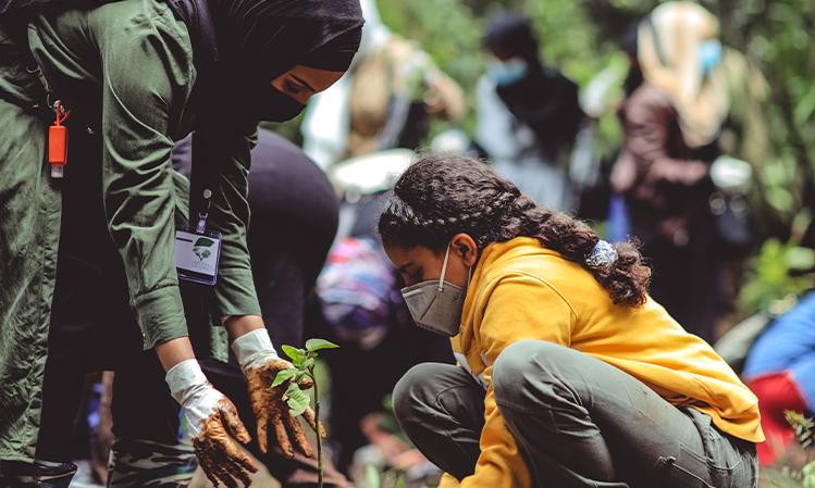 A woman and a young girl are planting a small tree.