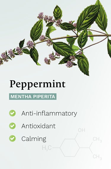 Peppermint (Mentha Piperita)- anit-inflammatory, antioxidant , calming effects