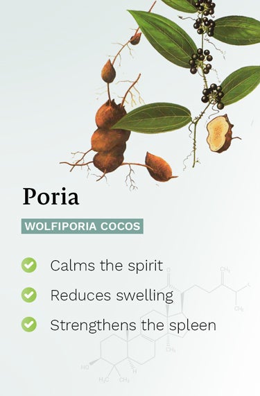 Poria (Wolfiporia cocos) - strengthens the spleen , calms the spirit , reduces swelling