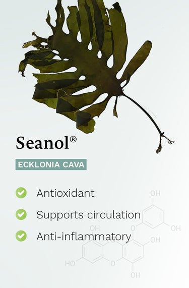Seanol (Ecklonia Cava) - antioxidant protection, supports healthy circulation, promotes heart health
