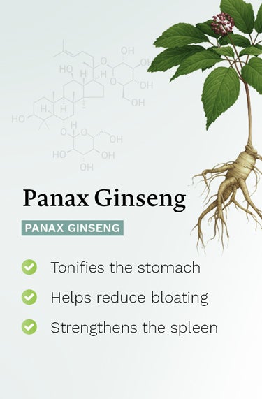 Panax Ginseng (Panax ginseng)- strengthens the spleen , tonifies the stomach and prevents bloating
