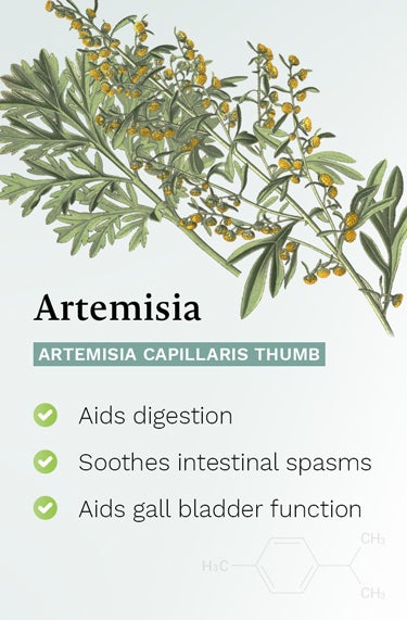 Artemisia (artemisia capillaris thunb) - aids digestion, soothes intestinal spasms, helps the gall bladder.