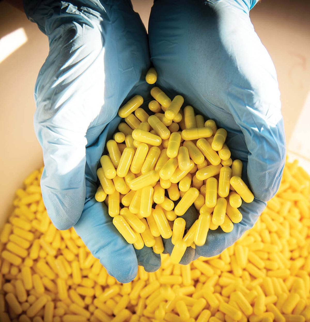 Hands wearing blue rubber gloves holding yellow pills above a bucket full of those yellow pills.