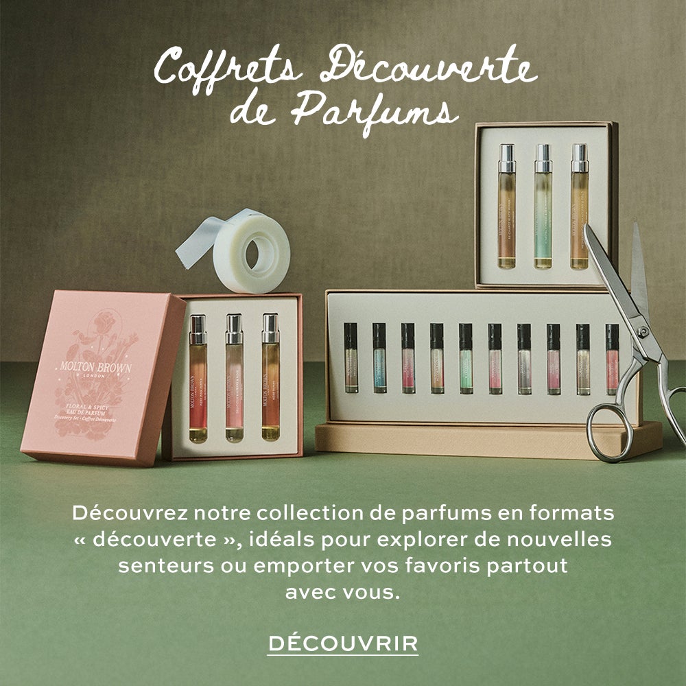 Offre Découverte