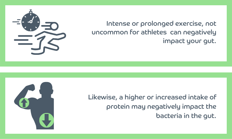 Intense or prolonged exercise, not uncommon for athletes can negatively impact your gut. Likewise, a higher or increased intake of protein may negatively impact the bacteria in the gut.