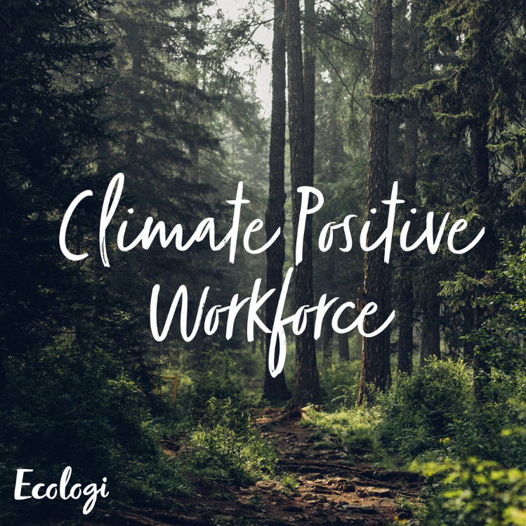 Climate Positive Workforce. Ecologi.