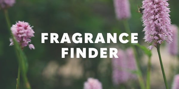 Fragrance Finder