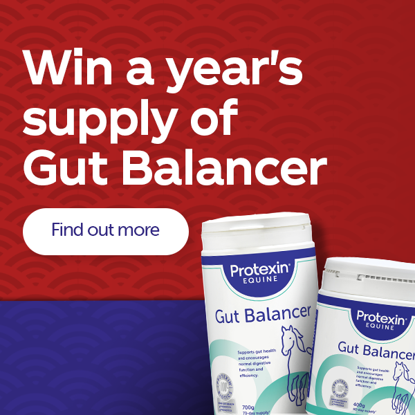 Win a years supply of gut balancer. Discovert More 