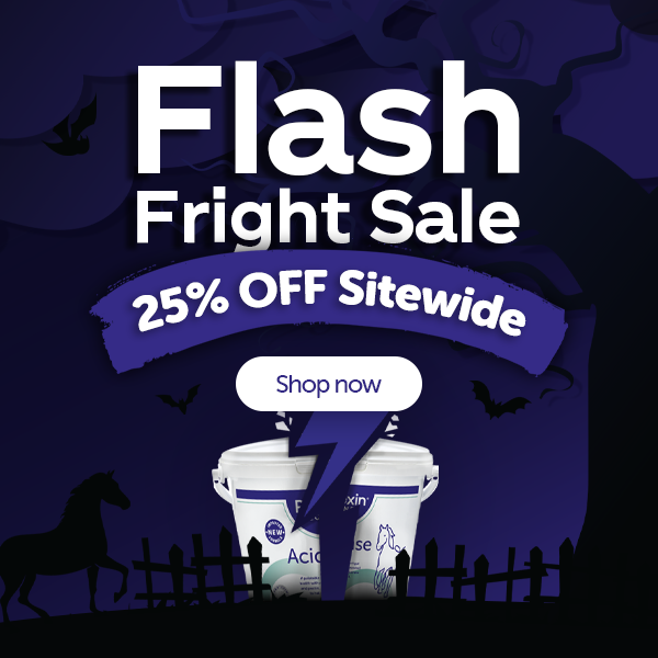 Flash Fright Sale. 25% OFF sitewide.