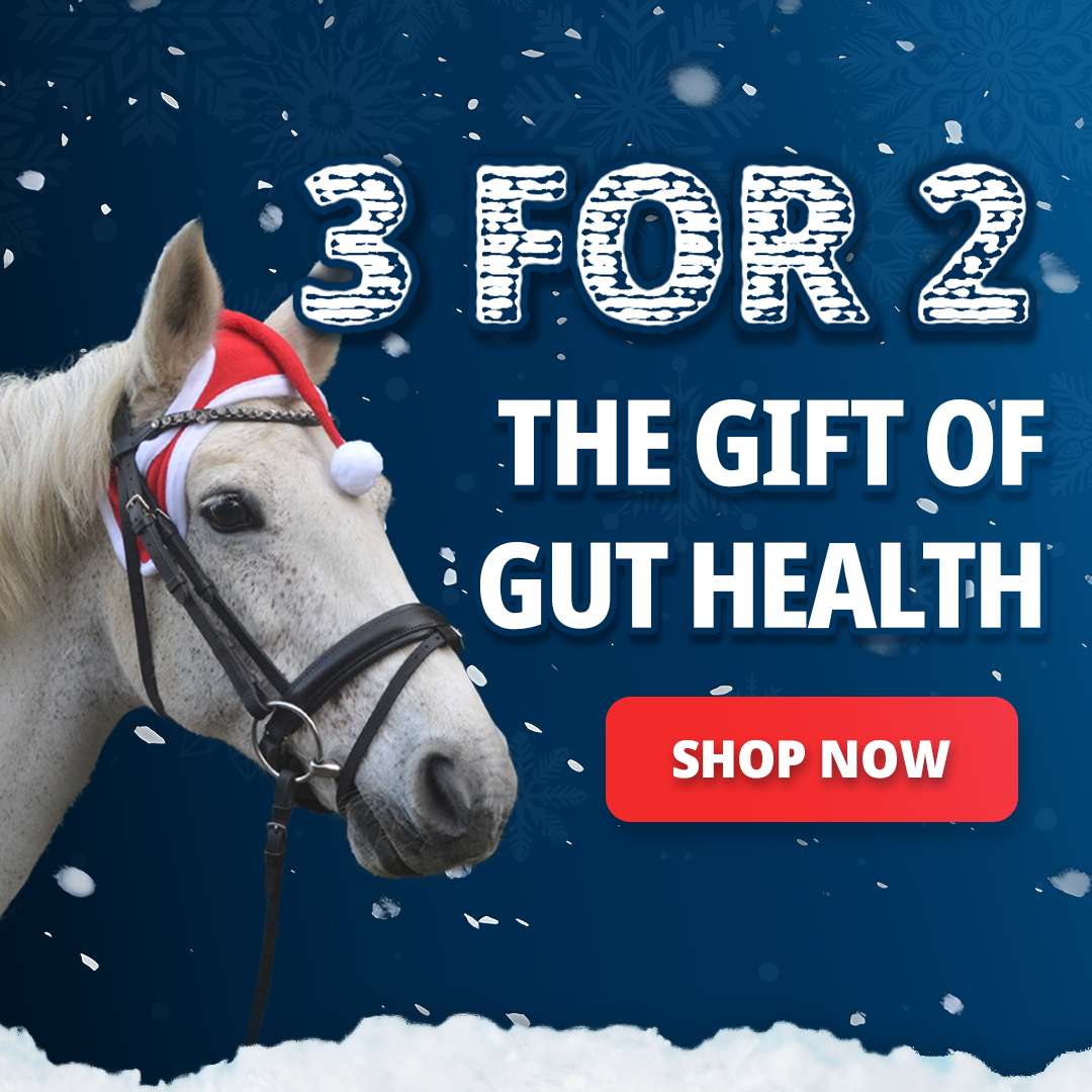 Cyber Monday - 3 FOR 2. Woman with horse in snow