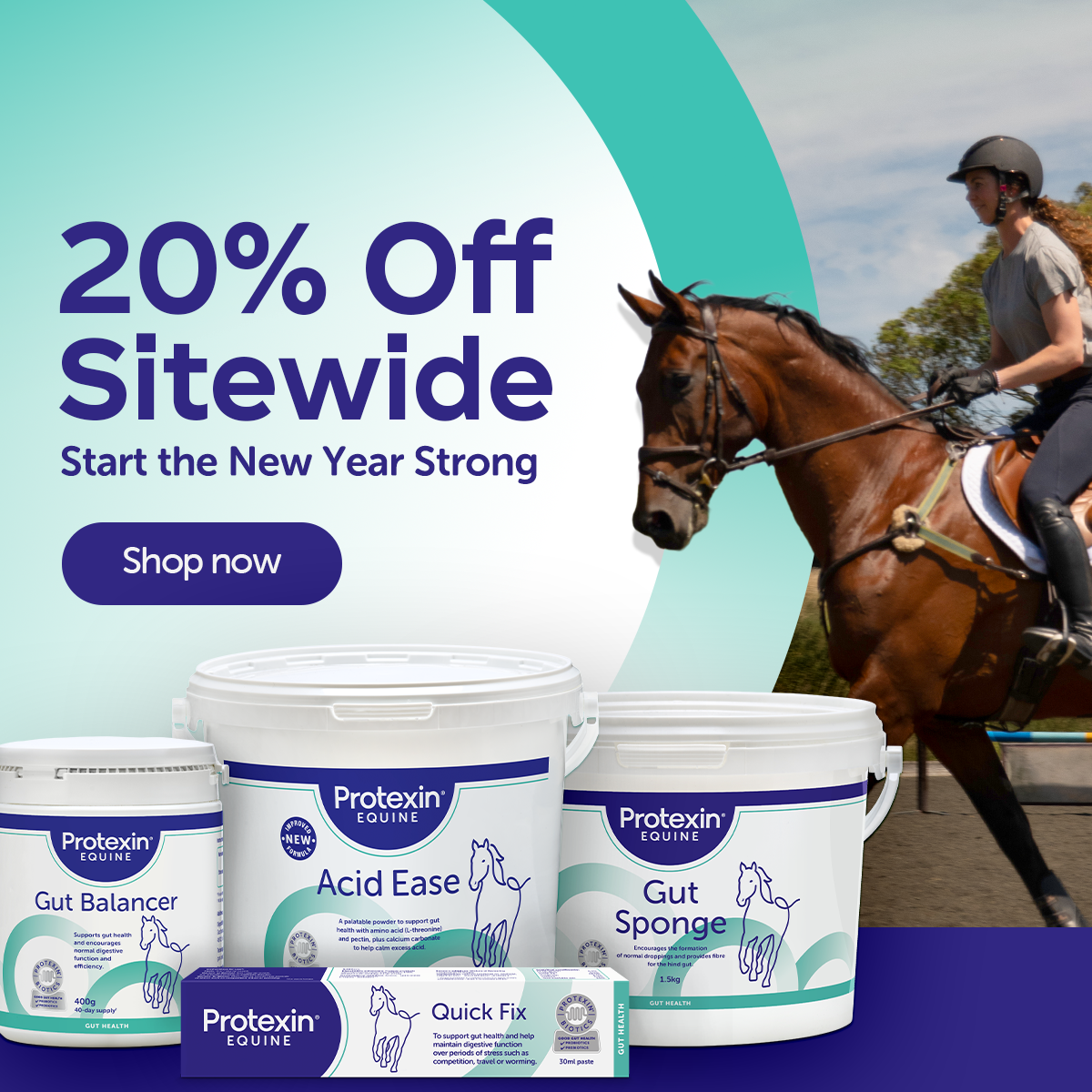 20% off sitewide. Start the new year strong 